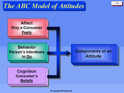 Model on The Abc Model Of Attitudes